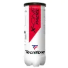 Cajon 72 Pelotas - 24 Botes de 3 uds - Tecnifibre Padel X-One