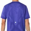 Camiseta Asics Road Sem Costuras SS Top Purpura