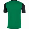 Camiseta Joma Winner Verde Preto