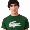 Camiseta Lacoste Sport Verde Branco