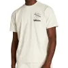 Camiseta Wilson Classic Graphic Arena Azul Marino
