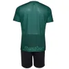 JHayber Volei, Ajuste Verde