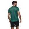 JHayber Volei, Ajuste Verde