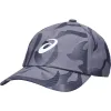Gorra Asics Gráfico Gris Púrpura