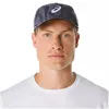 Gorra Asics Gráfico Gris Púrpura