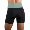 Mallas Endless Ash II Floresta Negro Verde