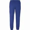 Babolat Juan Lebron Blue Depths Pants