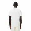 Polo Lacoste Regular Fit Algodão Branco