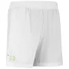 Babolat Curto Juan Lebron Blanco Verde