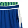 Lacoste Roland Garros Calções Azul Branco Verde