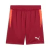 Calções Puma Single Vermelho Escuro