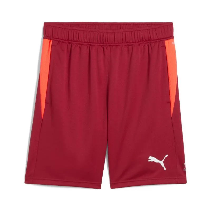 Calções Puma Single Vermelho Escuro