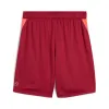 Calções Puma Single Vermelho Escuro