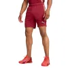 Calções Puma Single Vermelho Escuro