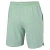 Equipe Tecnifibre Curta Stretch Verde